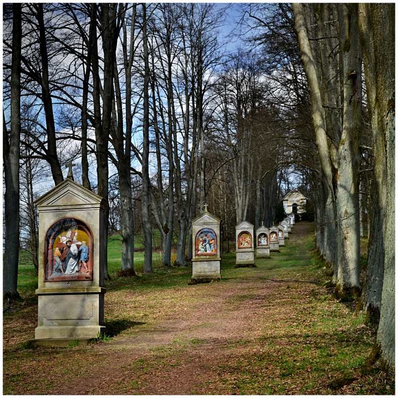 Cvikov...