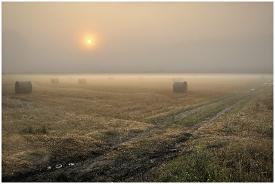 _DSC0090 Mlhovka...